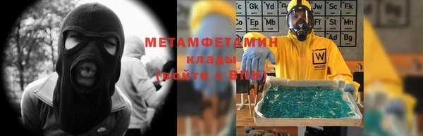 прущие грибы Аша