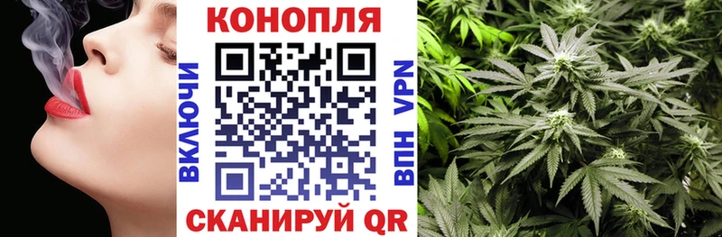 kraken зеркало  Болохово  Каннабис ГИДРОПОН 